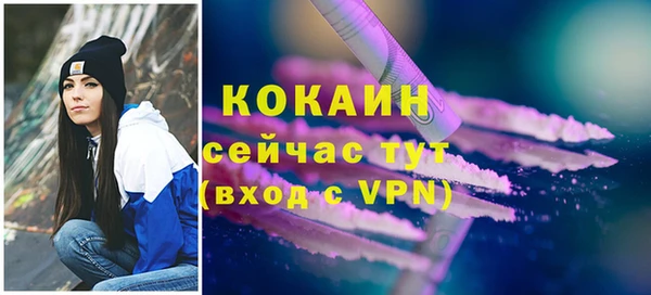 шишки Сосновка
