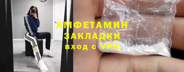 стаф Сосновый Бор