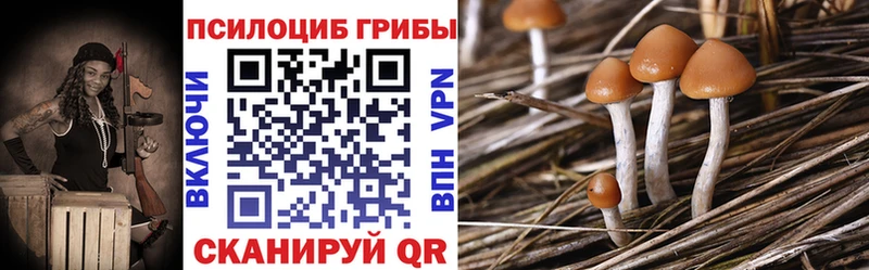 ОМГ ОМГ онион Енисейск Галлюциногенные грибы Psilocybe